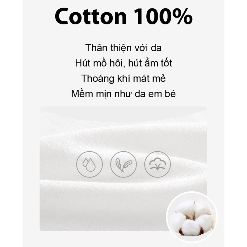 Áo Thun Basic 100% Cotton 230GSM co giản vải siêu đẹp