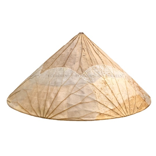 NÓN LÁ SEN TRẮNG KEM