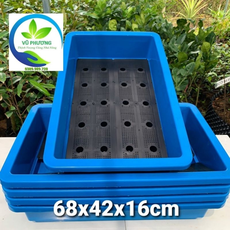 Combo 3 khay trồng rau sạch  thông minh kích thước dài 68x rộng 42x cao 16cm thích hợp trồng rau