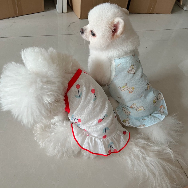 Đầm hè thú cưng đáng yêu 2023