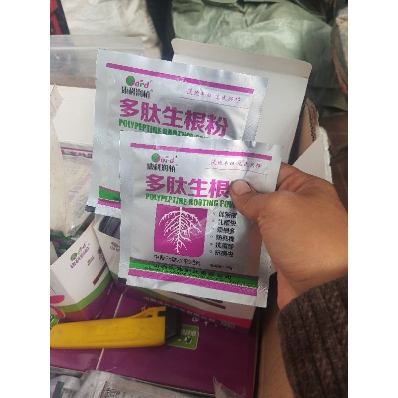 Siêu  kích rễ kích mầm