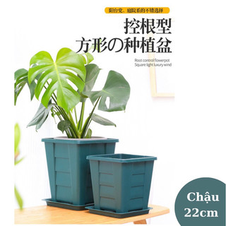 Chậu vuông cao cấp nhập khẩu size 22cm x 22cm