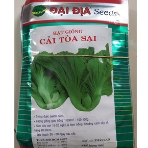 Hạt giống cải tòa sại, cải làm dưa 20gr, Cải Tòa Sại Thái Lan