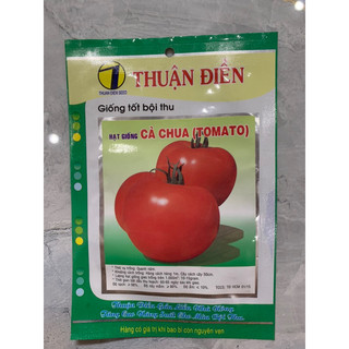 Hạt Giống Cà Chua Tomato gói 0.5g