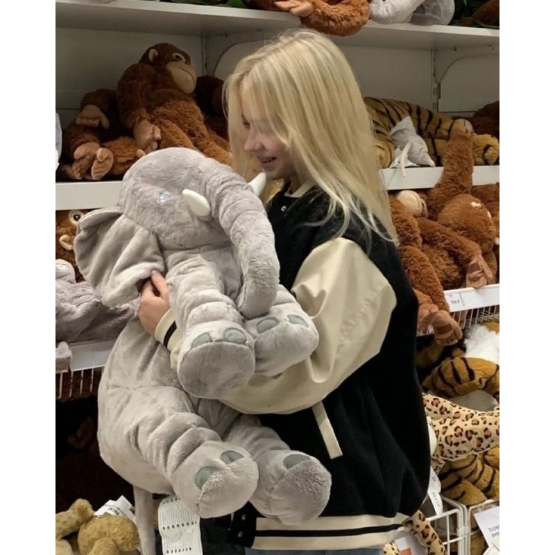 Combo voi Hàn Quốc và chó gold ikea