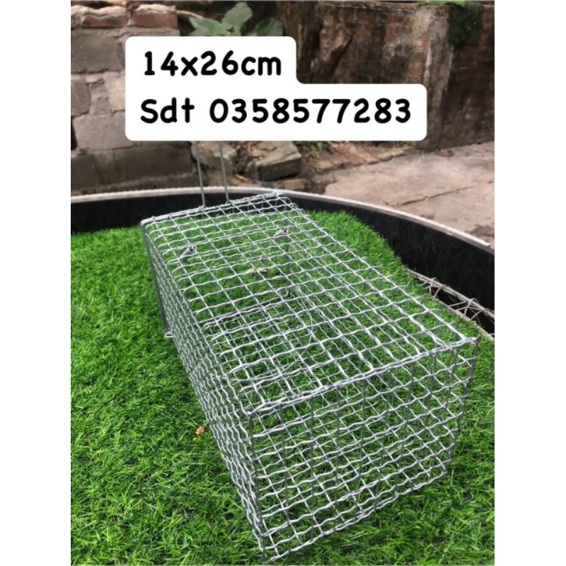 Bẫy chuột 14x26cm