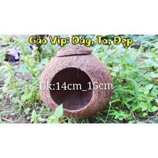 Tổ chim bằng gáo dừa/ổ cho sóc/ổ chuột/tổ chim yến/gáo vip giá rẻ