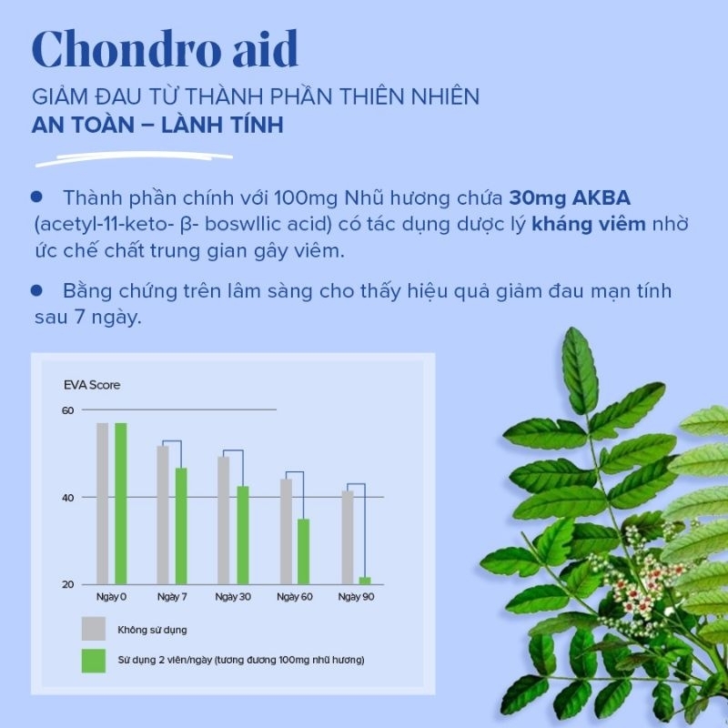Viên uống Chondro-aid 100% Articulation giảm đau xương khớp chiết xuất nhũ hương Sagen