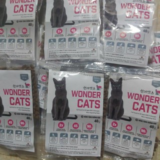 Hạt cho mèo today dinner và wondercats 40g túi hãng