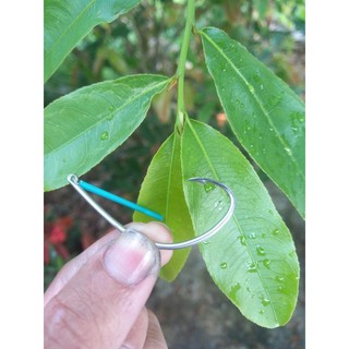lưỡi câu móng heo