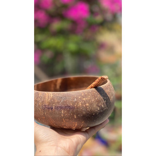 Bát gáo dừa