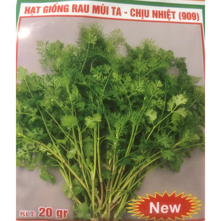Hạt giống rau Mùi Tía / Mùi ta - Rất thơm ✅
