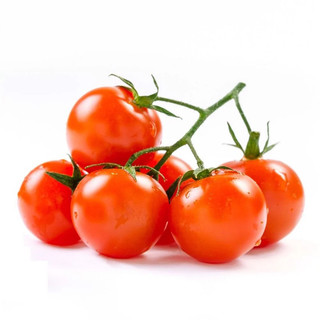 Hạt giống cà chua bi siêu quả Cherry tomato