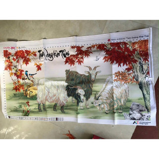 Tam Dương Khai Thái [ Khởi đầu sự nghiệp]