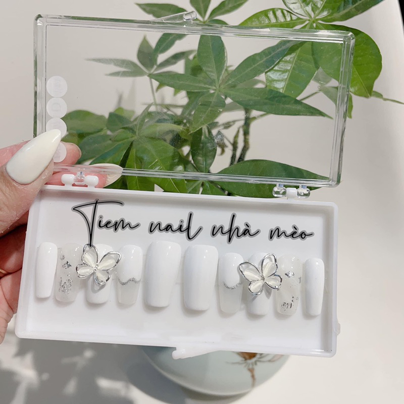 Nail box thiết kế 70k