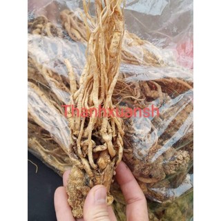 Sâm đương quy khô Sìn Hồ _Lai Châu