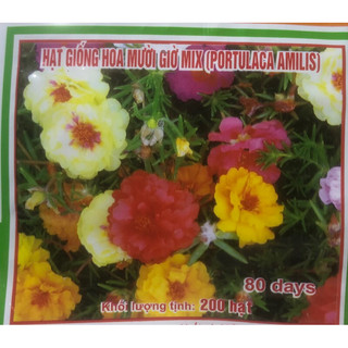Hạt giống Hoa mười giờ Mix (Portulaca) 💐