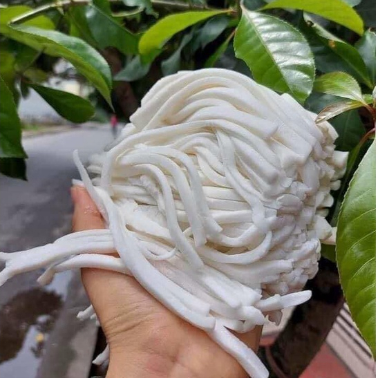 Bánh canh tươi Huế 1kg