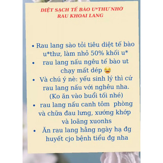 rau lang nhật siêu ngọn 30-40cm(40nhánh)