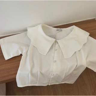 DOB - Áo kiểu cổ hoa Puppi