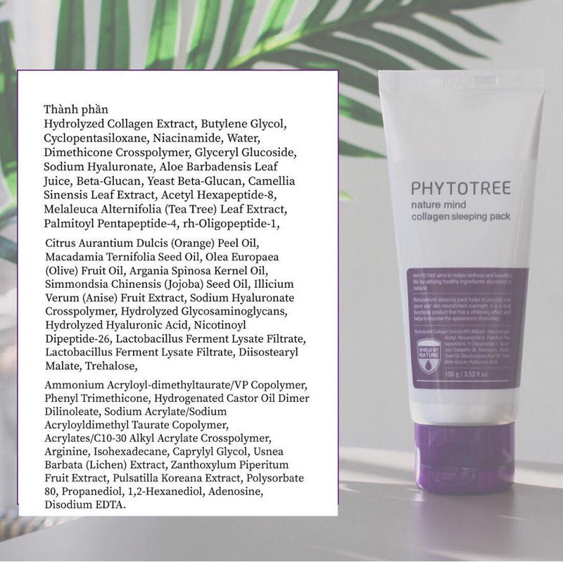 Kem ngủ căng bóng tái sinh da PHYTO TREE Nature Mind Collagen Sleeping Pask