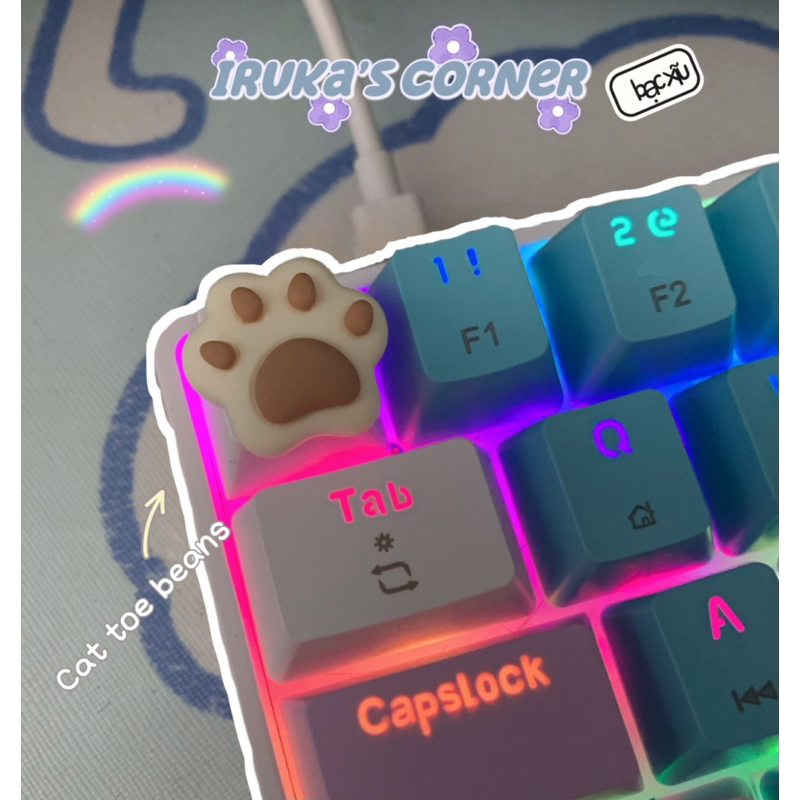 Nút bàn phím cơ ABS doubleshot dấu chân mèo decor xinh xắn🐾🐾