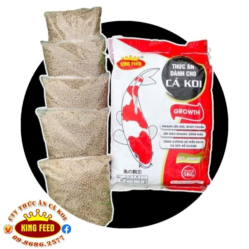 𝐓𝐡𝐮̛́𝐜 𝐚̆𝐧 𝐜𝐚́ 𝐤𝐨𝐢 𝐤𝐢𝐧𝐠 𝐟𝐞𝐞𝐝 Bao 5kg Tăng Màu, Tăng Trưởng, Tăng Cường Miễn Dịch