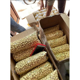 Hạt Sen Huế 1kg chuẩn thơm bùi bở