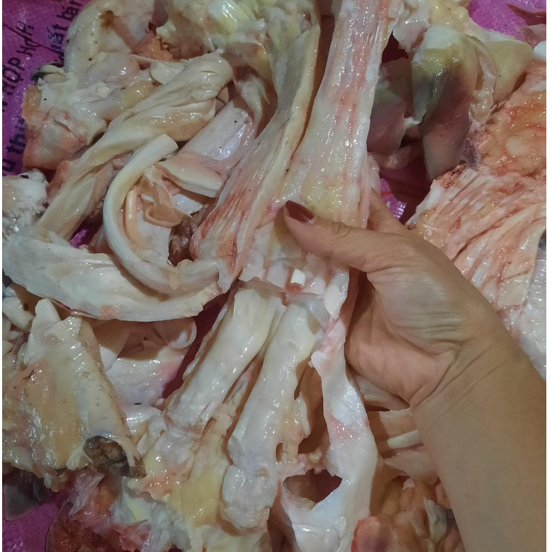 Gân bò chữ Y khay 1kg❤️Tmart - Thực phẩm sạch