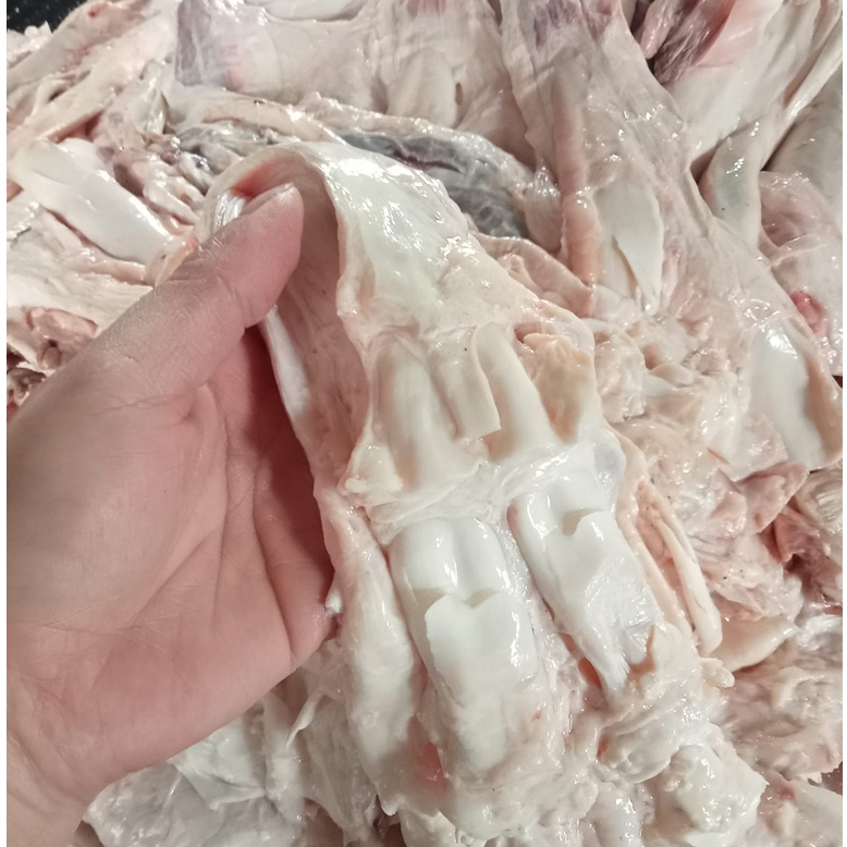 Gân bò chữ Y khay 1kg