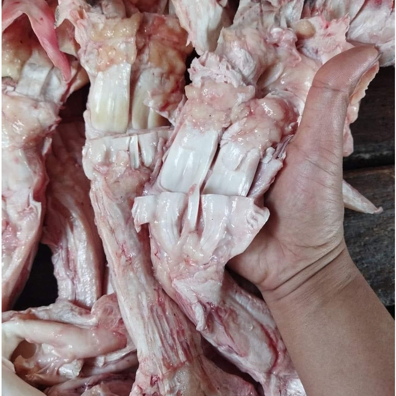 Gân bò chữ Y khay 1kg