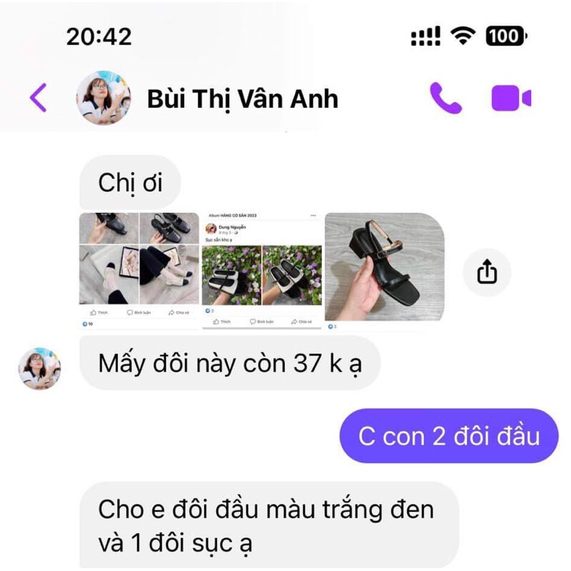 3d dép vân anh