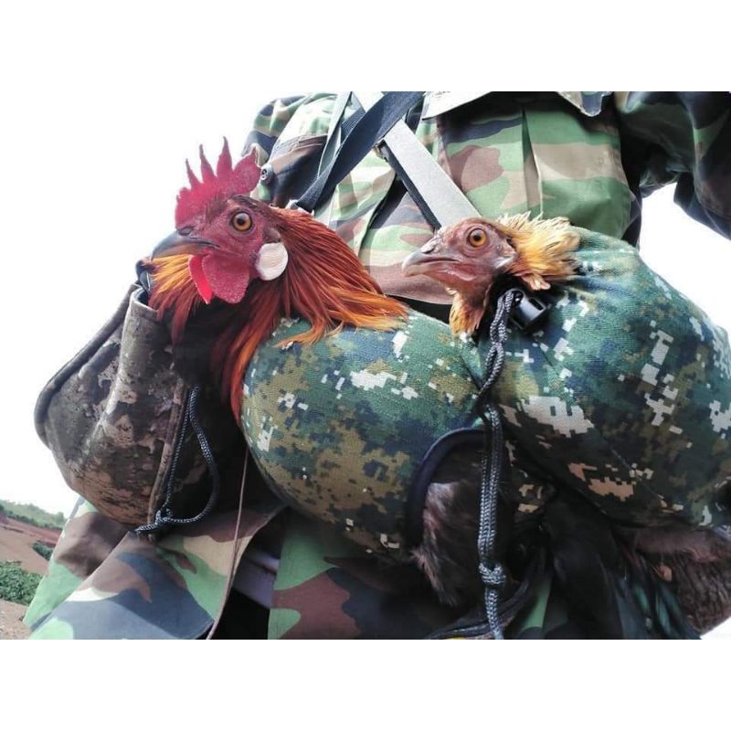 túi bổi đựng gà