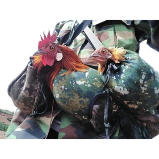 Túi bổi đựng gà