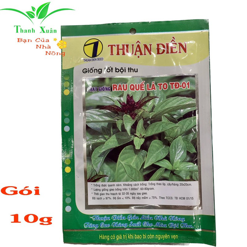 Hạt Giống Rau Quế Lá To gói 10g