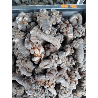 củ tam thất bắc  loại 24 củ / kg