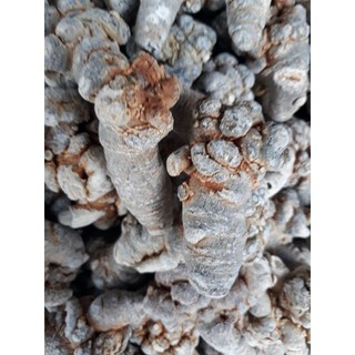 củ tam thất bắc  loại 24 củ / kg