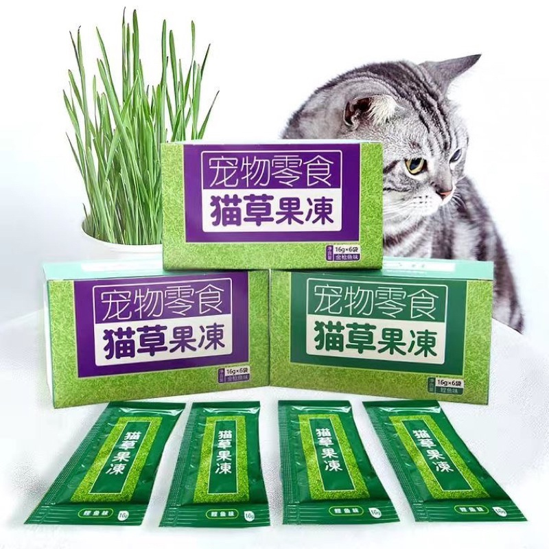 Súp Thưởng tiêu búi lông cho Mèo