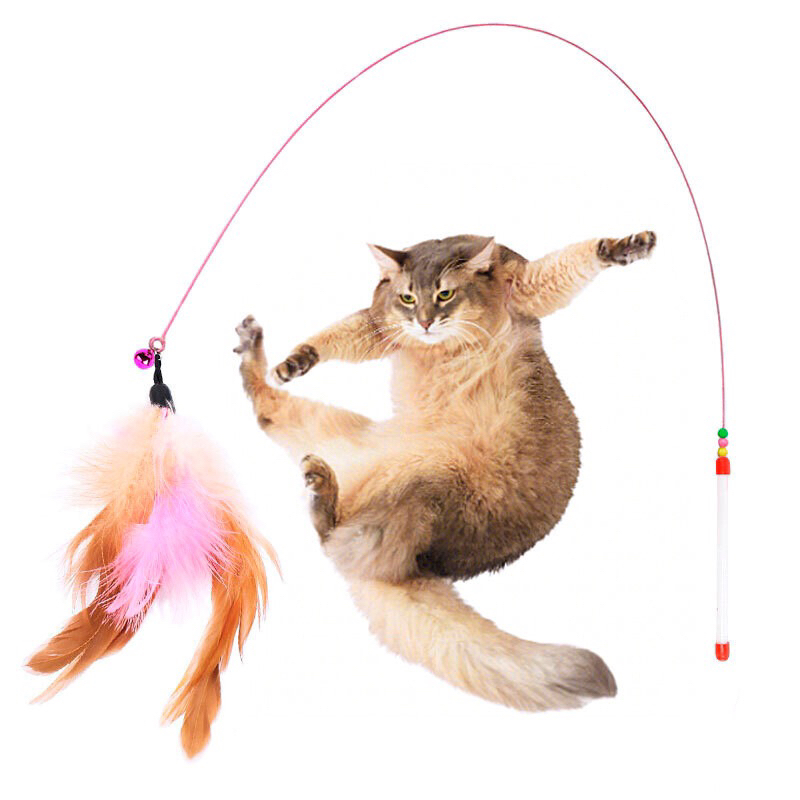 Đồ chơi cần câu mèo