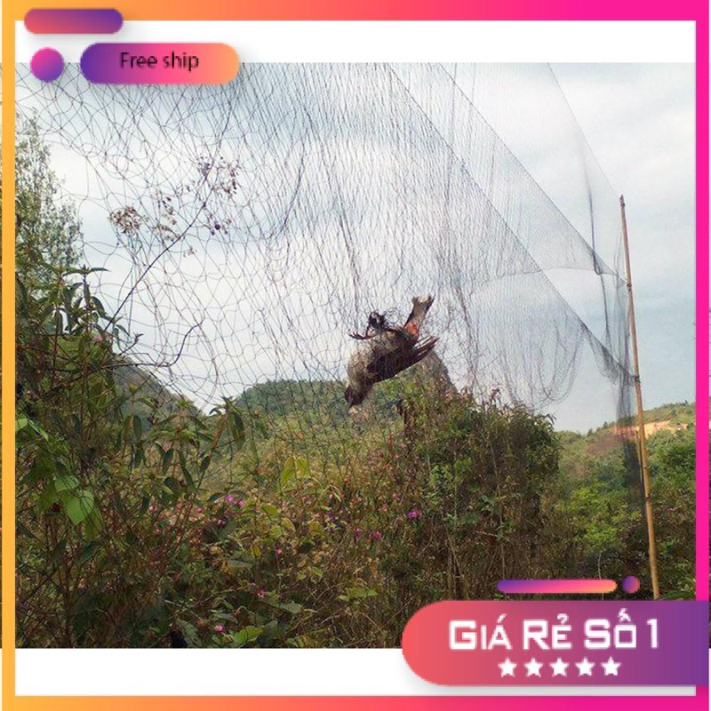Lưới tàng hình bẫy chim chào mào chất lượng cao siêu nhạy thương hiệu Thái Lan