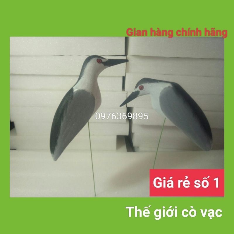 Vạc xốp cứng