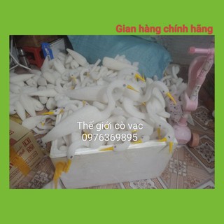 Cò giả xốp dẻo bẻ không gẫy
