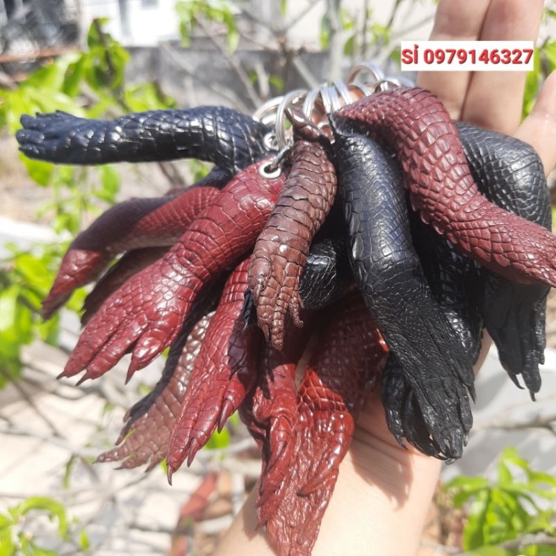 MÓC ĐEO CHÌA KHÓA NGUYÊN CHÂN TỪ CẲNG ĐẾN MÓNG .CÁ SẤU THẬT 100%