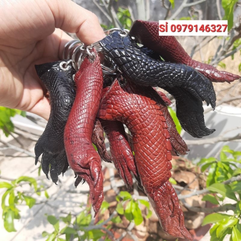 MÓC ĐEO CHÌA KHÓA NGUYÊN CHÂN TỪ CẲNG ĐẾN MÓNG .CÁ SẤU THẬT 100%