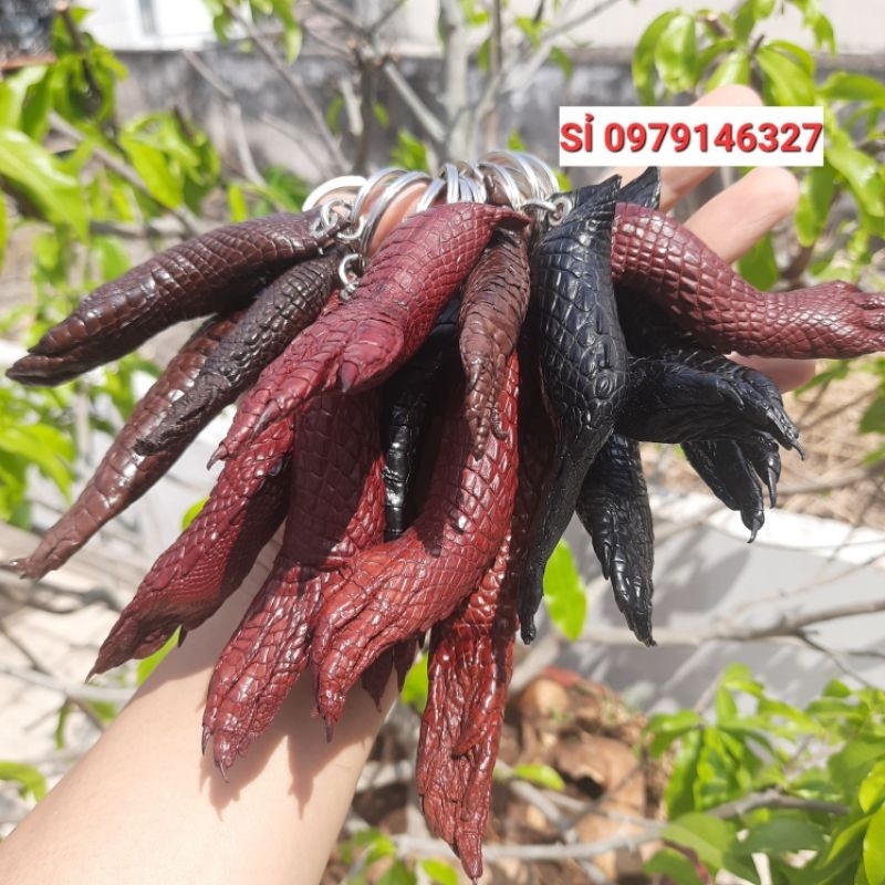 MÓC ĐEO CHÌA KHÓA NGUYÊN CHÂN TỪ CẲNG ĐẾN MÓNG .CÁ SẤU THẬT 100%