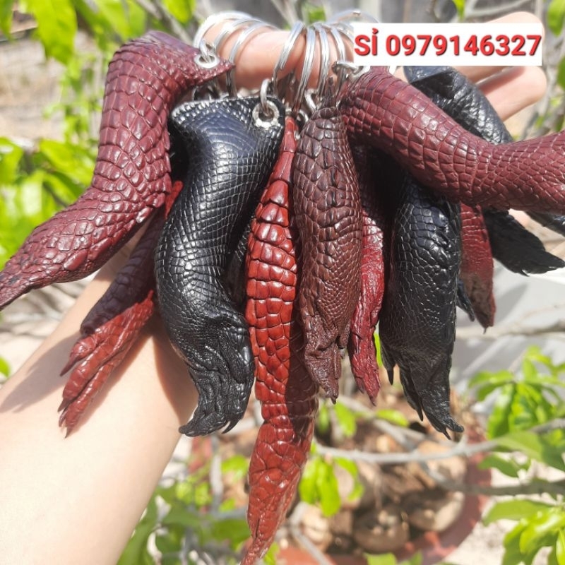 MÓC ĐEO CHÌA KHÓA NGUYÊN CHÂN TỪ CẲNG ĐẾN MÓNG .CÁ SẤU THẬT 100%