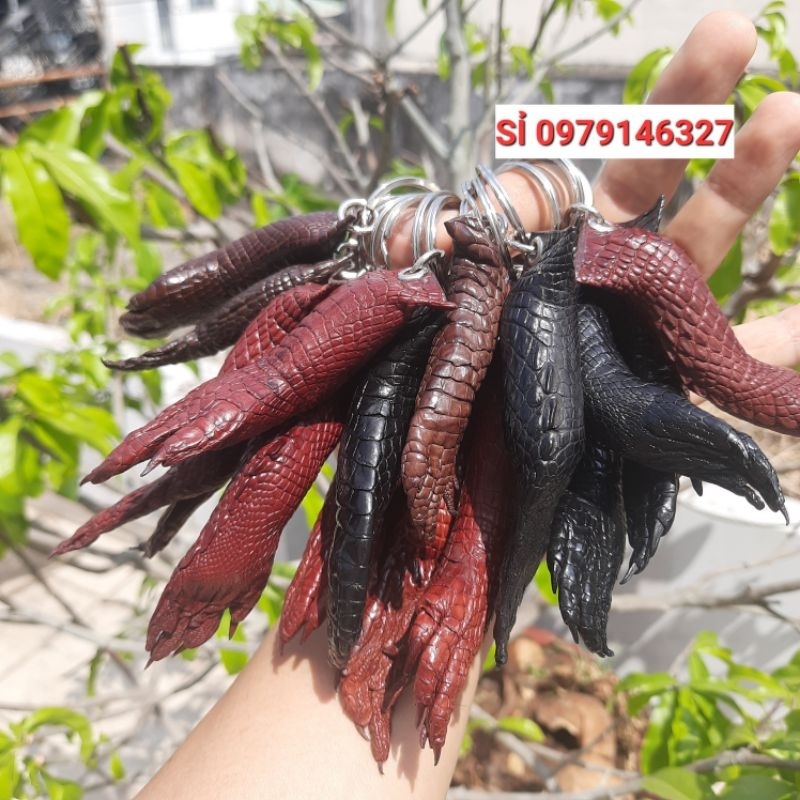 MÓC ĐEO CHÌA KHÓA NGUYÊN CHÂN TỪ CẲNG ĐẾN MÓNG .CÁ SẤU THẬT 100%