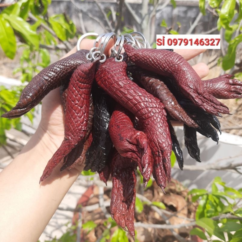 MÓC ĐEO CHÌA KHÓA NGUYÊN CHÂN TỪ CẲNG ĐẾN MÓNG .CÁ SẤU THẬT 100%