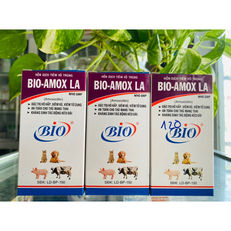 BIO-Amox LA 100 Bio- Pharmachemie