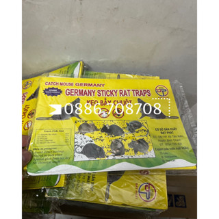 Keo dán chuột đại phát 1 miếng